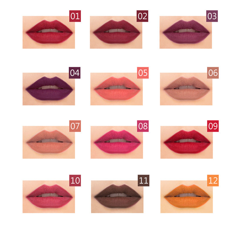 Lápiz de labios 12 colores